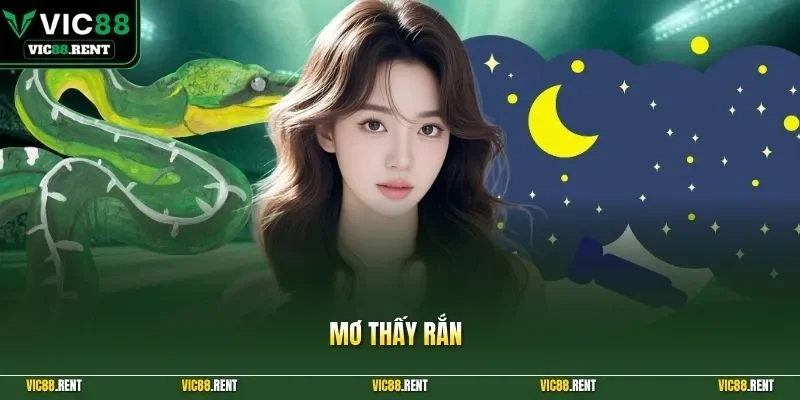 Mơ thấy rắn